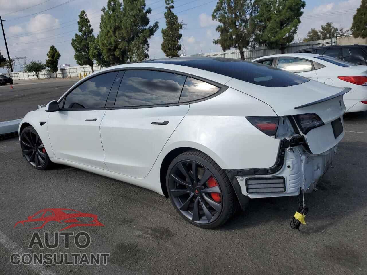 TESLA MODEL 3 2020 - 5YJ3E1EC9LF805511