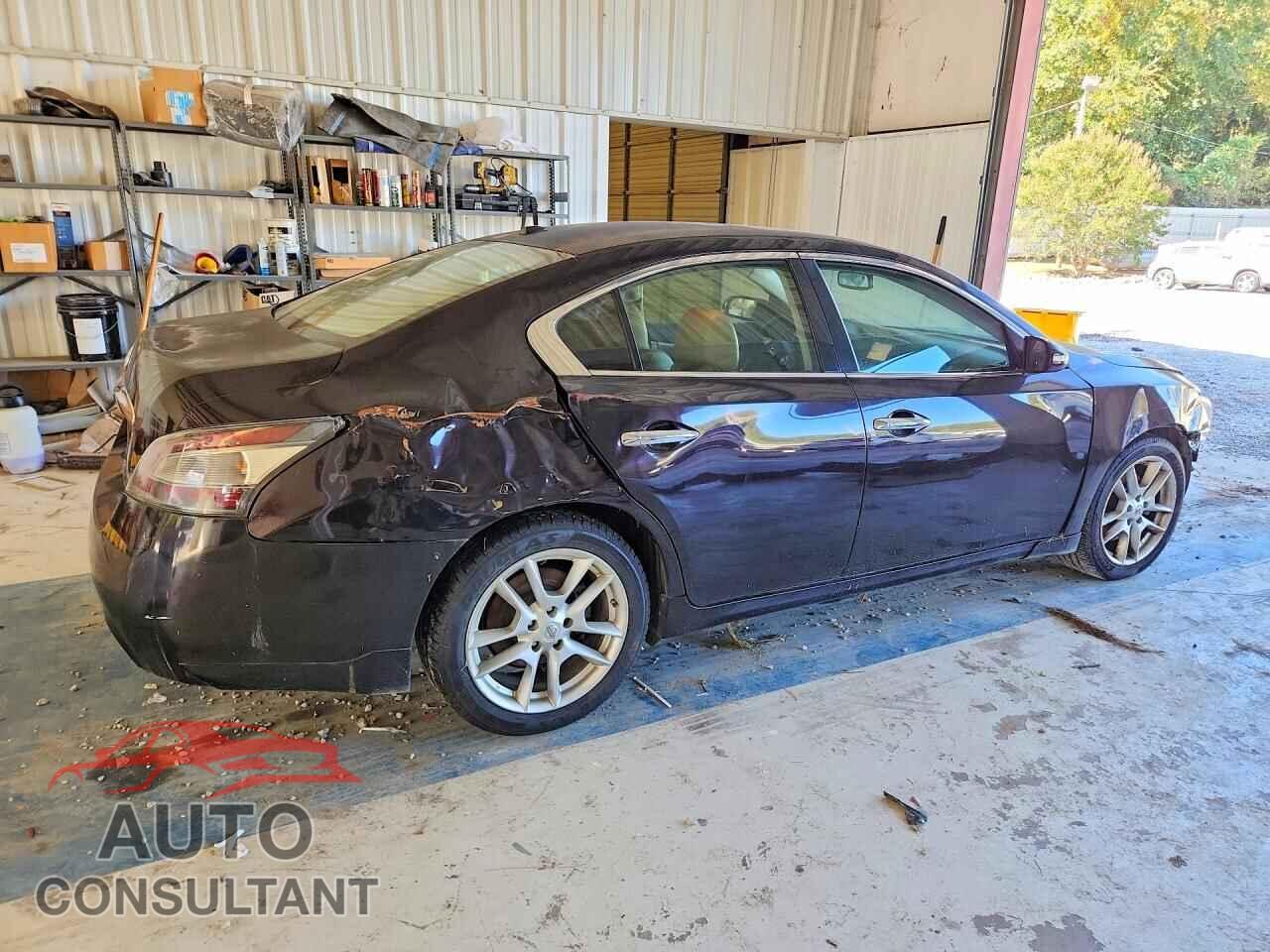 NISSAN MAXIMA 2011 - 1N4AA5AP2BC856286