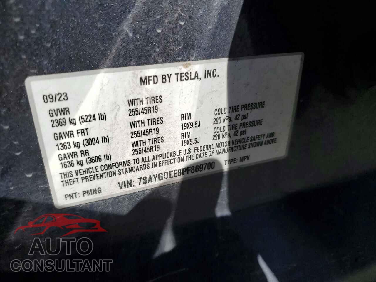 TESLA MODEL Y 2023 - 7SAYGDEE8PF869700