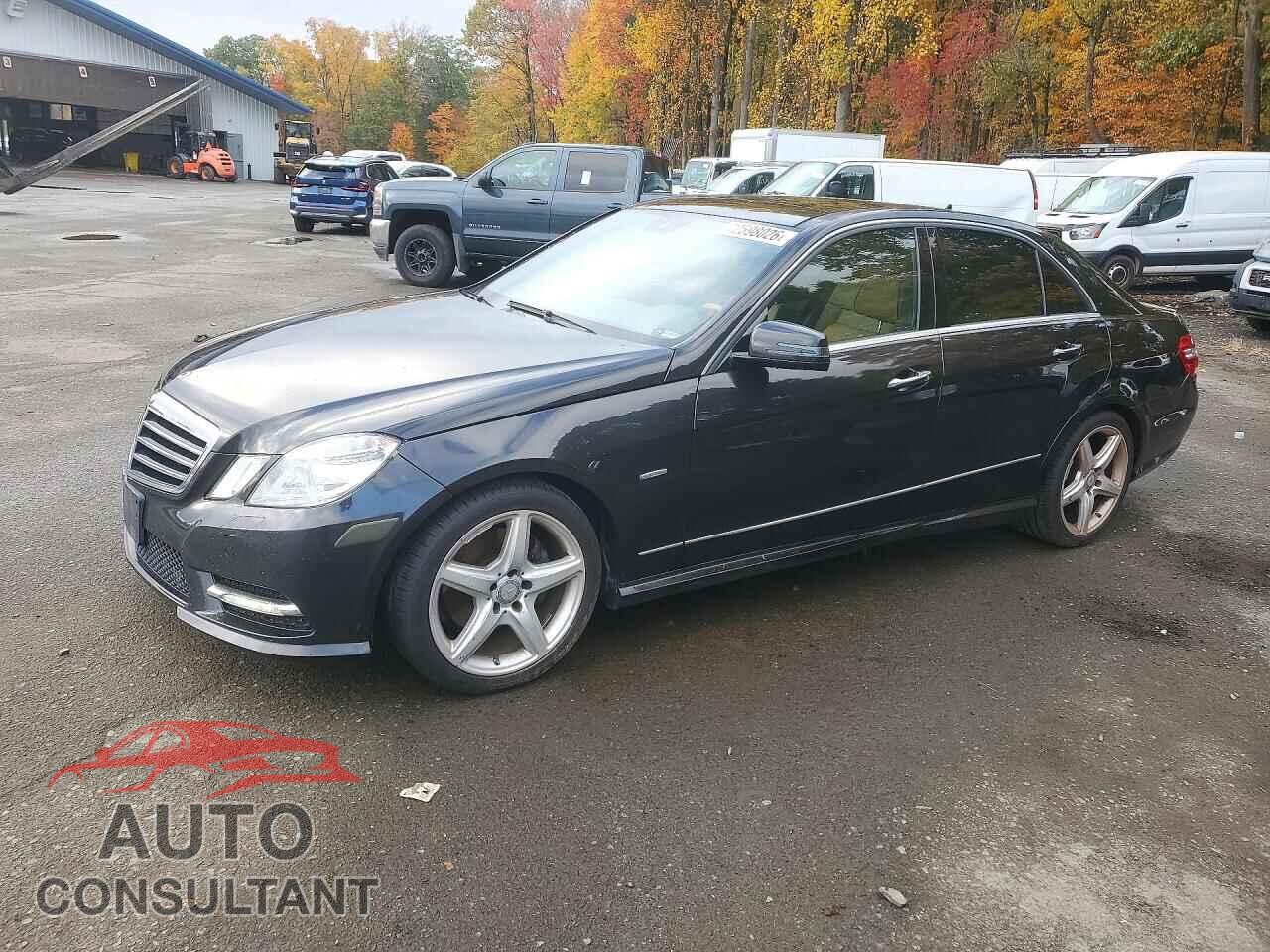 MERCEDES-BENZ E-CLASS 2012 - WDDHF8JB1CA640321