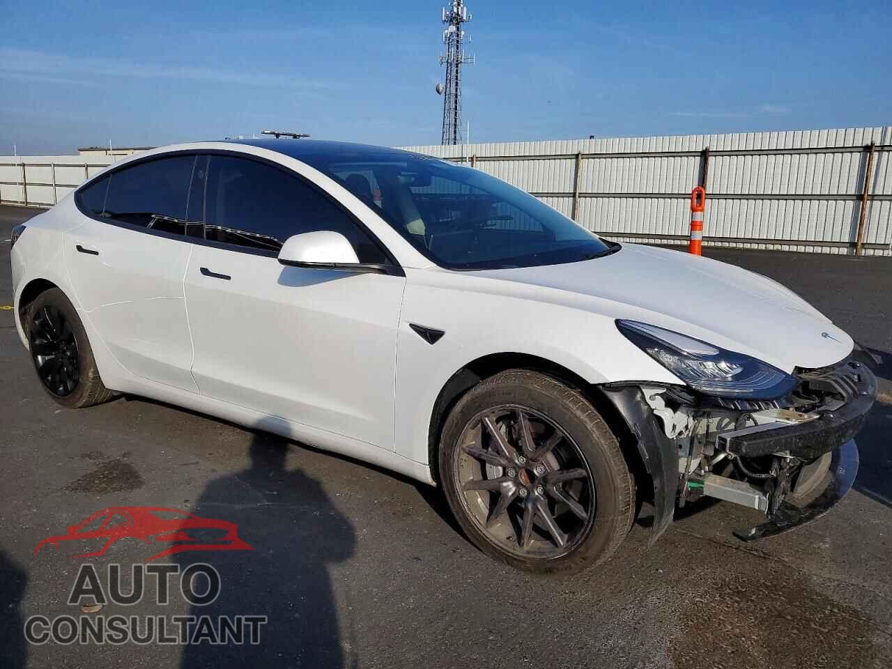 TESLA MODEL 3 2019 - 5YJ3E1EA3KF309696