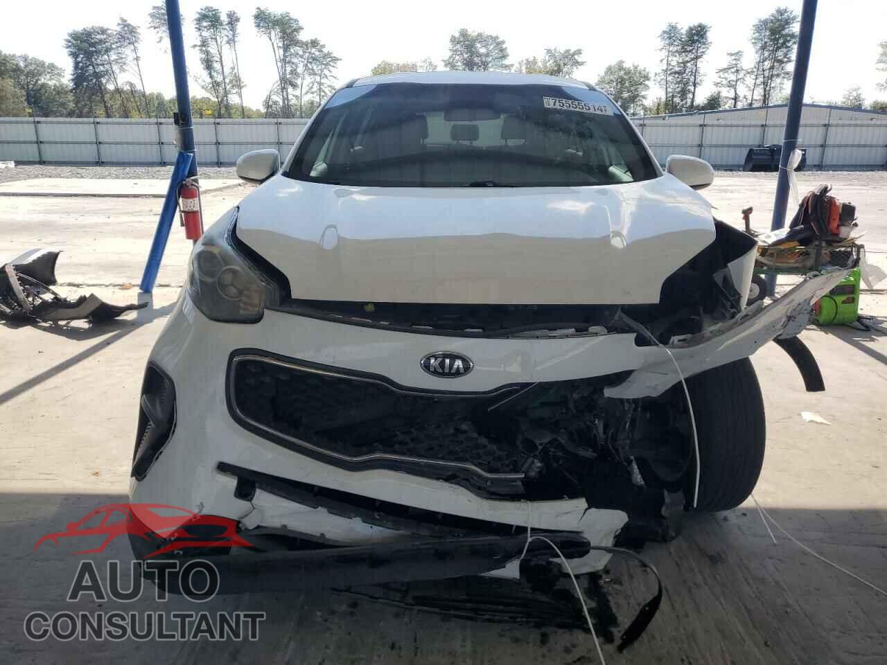KIA SPORTAGE 2017 - KNDPM3AC4H7063473