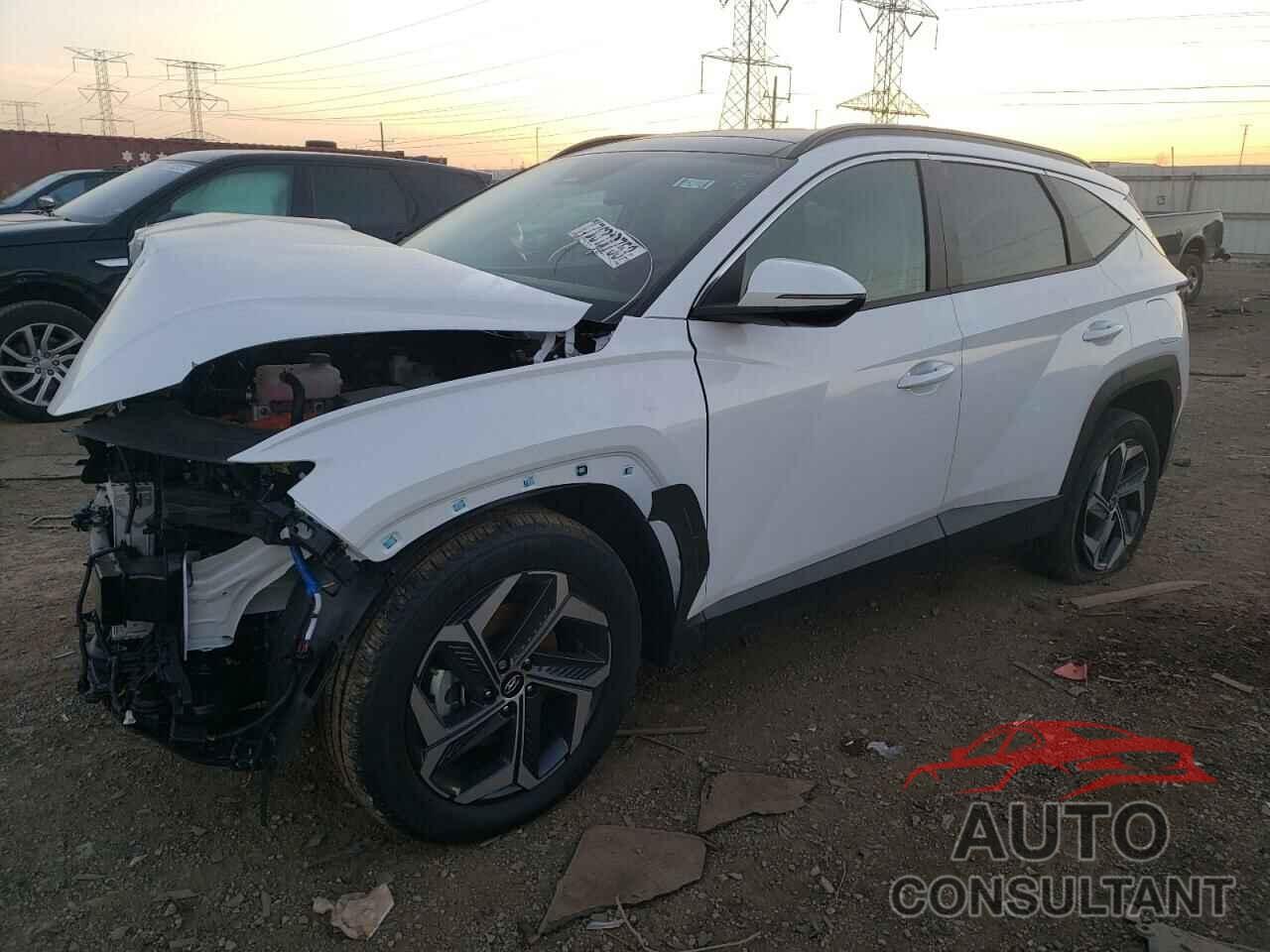 HYUNDAI TUCSON 2024 - KM8JCCD12RU148118