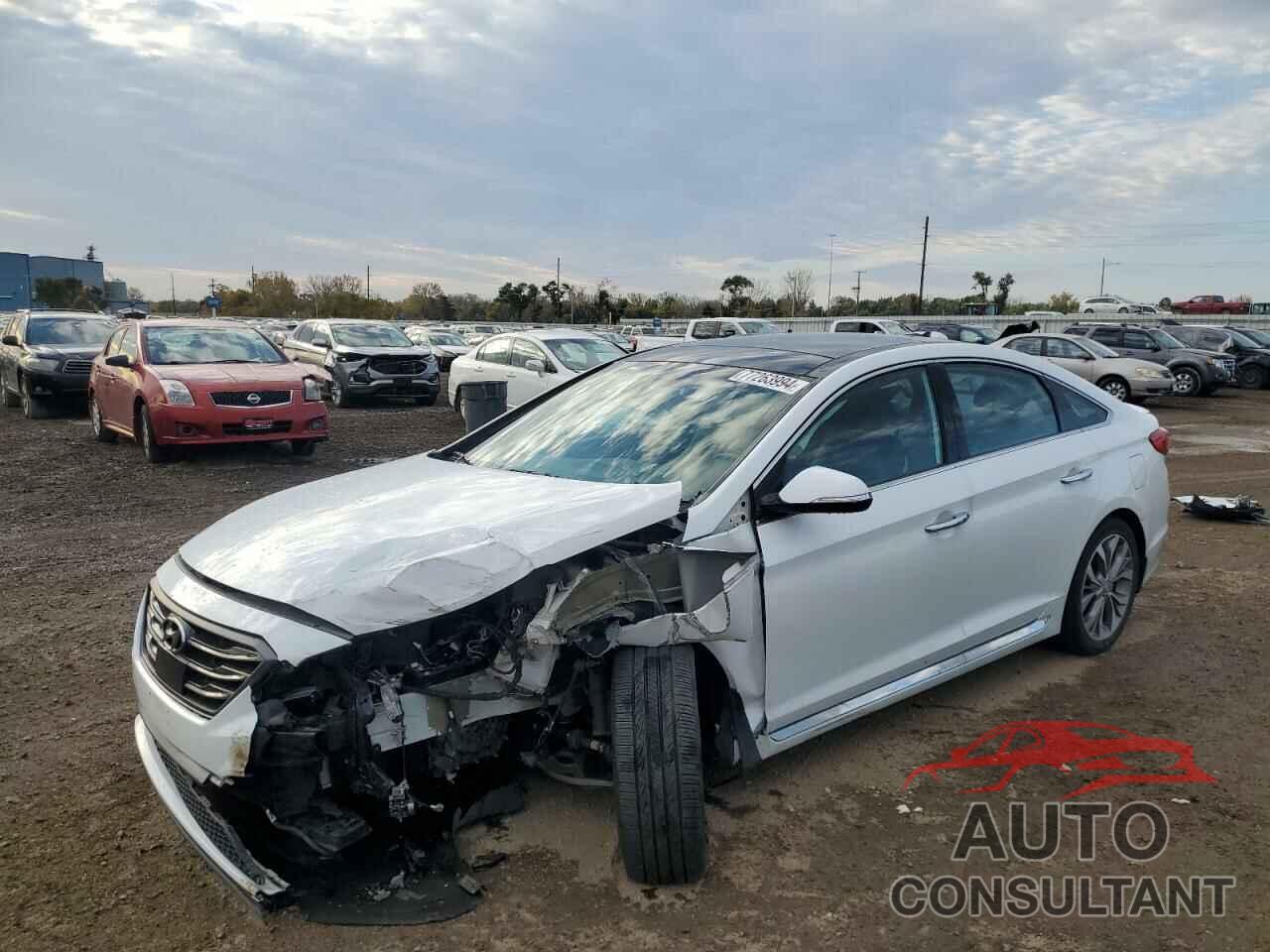 HYUNDAI SONATA 2017 - 5NPE34AB6HH497719