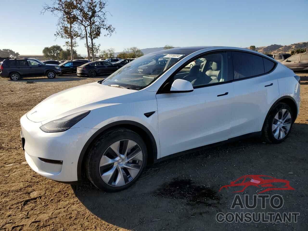 TESLA MODEL Y 2023 - 7SAYGDEE5PF593881