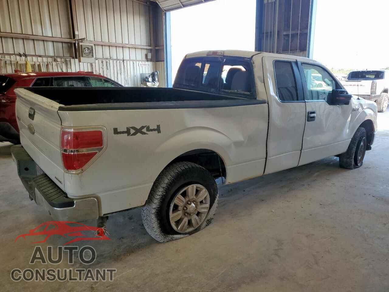 FORD F-150 2011 - 1FTFX1EF3BFB70507