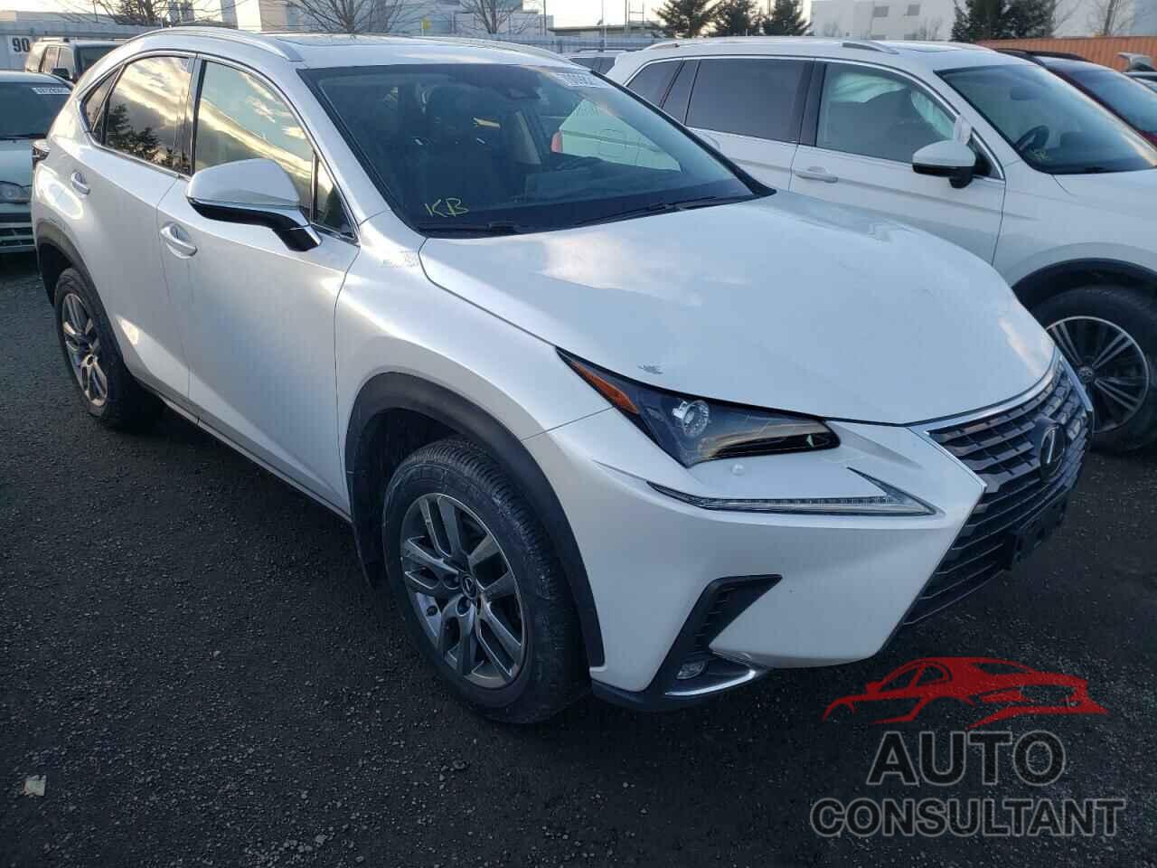 LEXUS NX 2020 - JTJGARDZ5L5013937