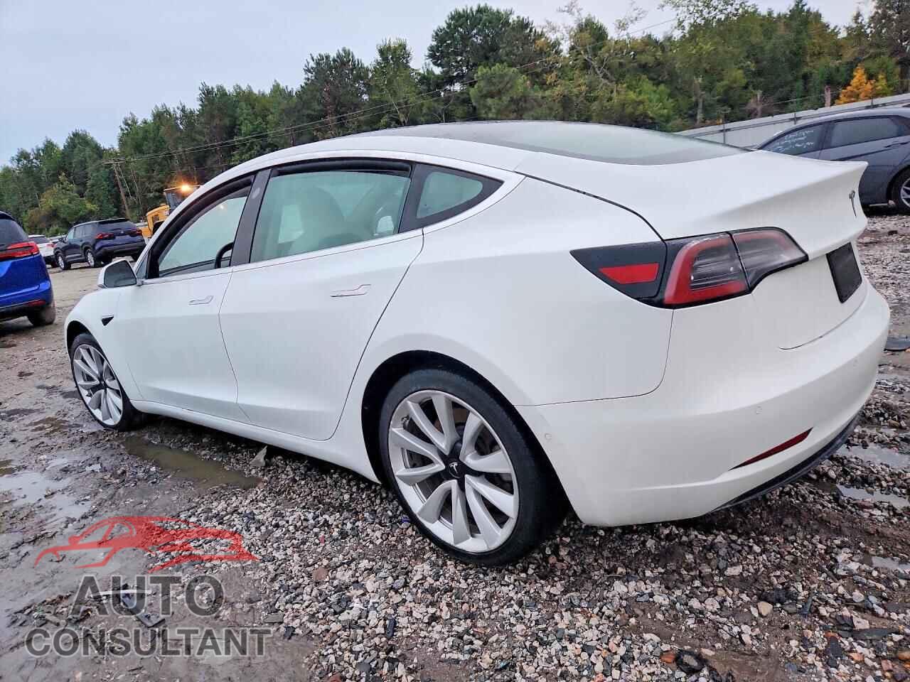 TESLA MODEL 3 2019 - 5YJ3E1EA8KF302713