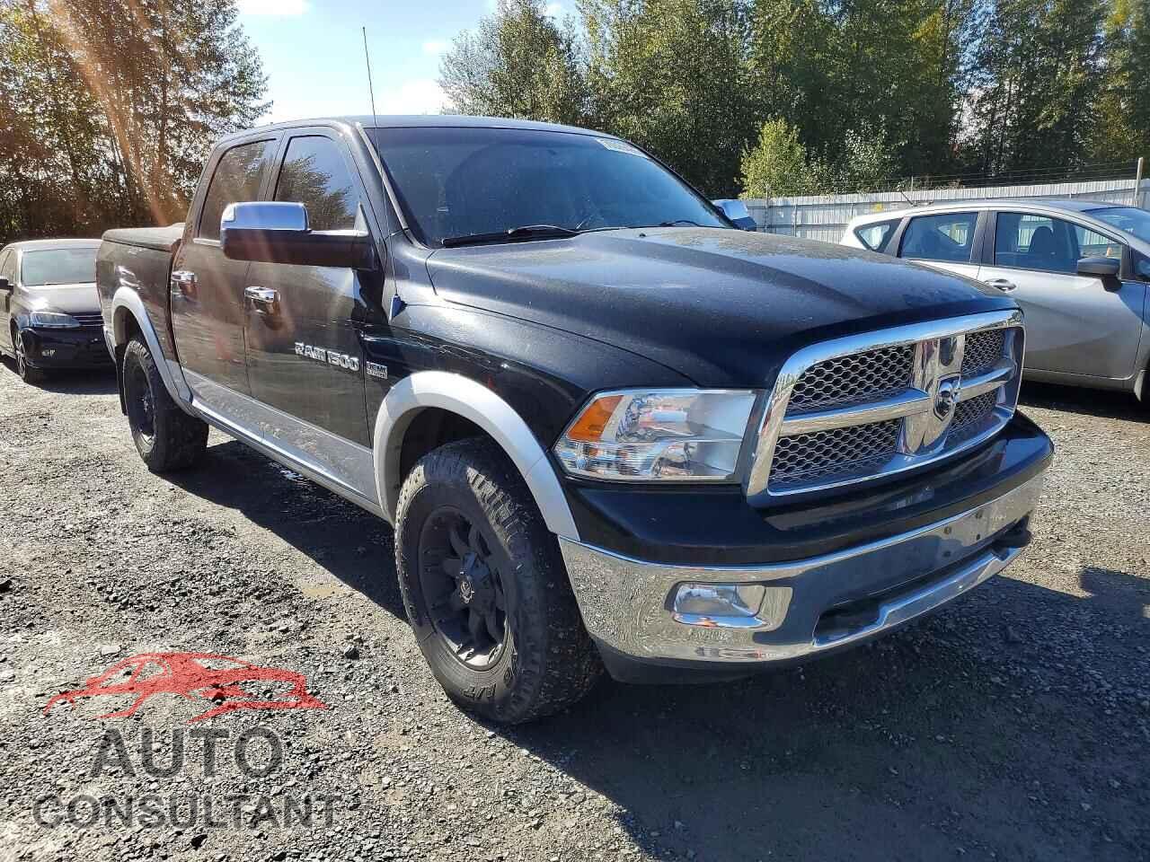 DODGE RAM 1500 2012 - 1C6RD7NT9CS109127