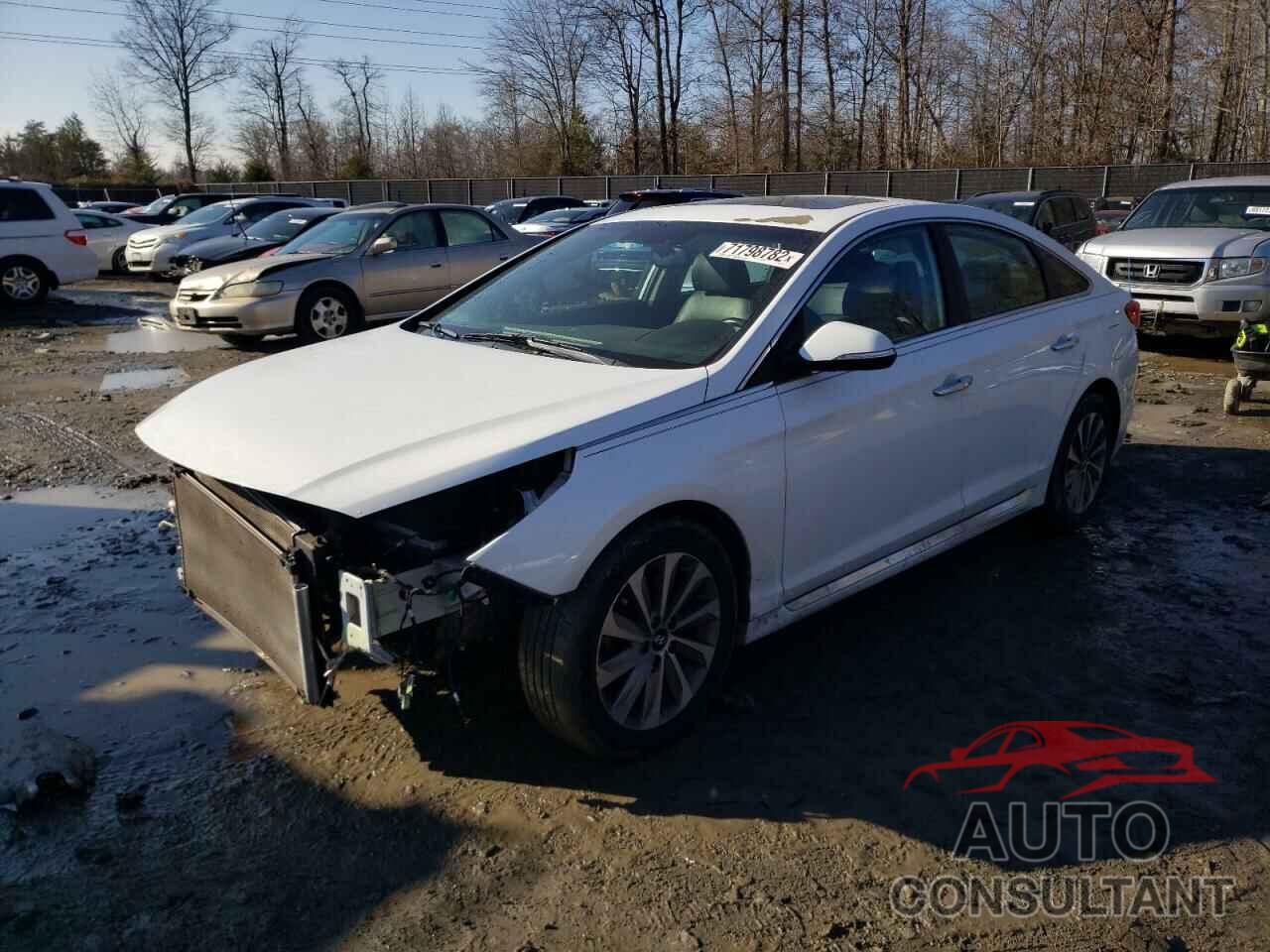 HYUNDAI SONATA 2017 - 5NPE34AF8HH520226