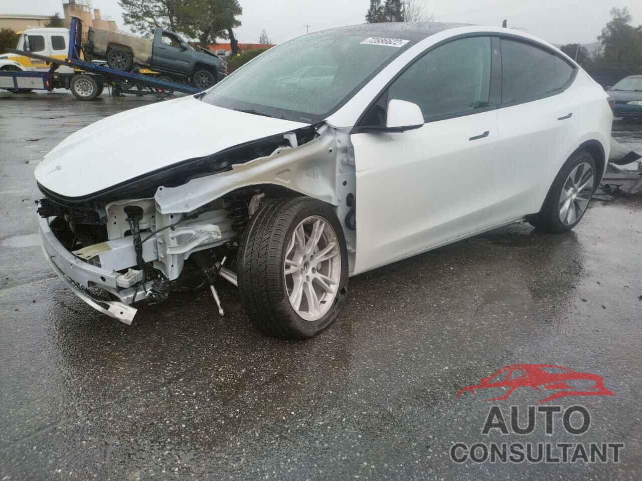 TESLA MODEL Y 2021 - 5YJYGDEE8MF273799