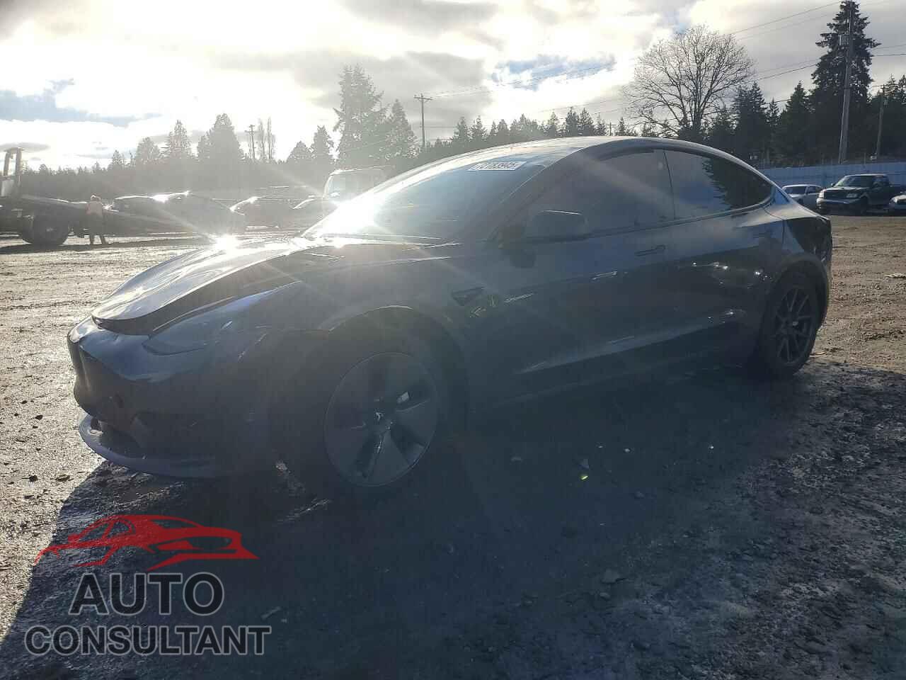 TESLA MODEL 3 2023 - 5YJ3E1EA1PF674983