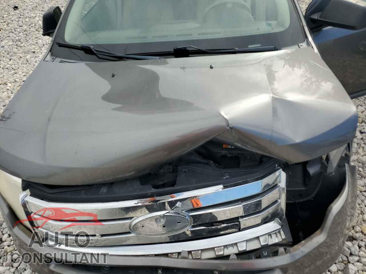 FORD EDGE 2009 - 2FMDK36C69BA54683