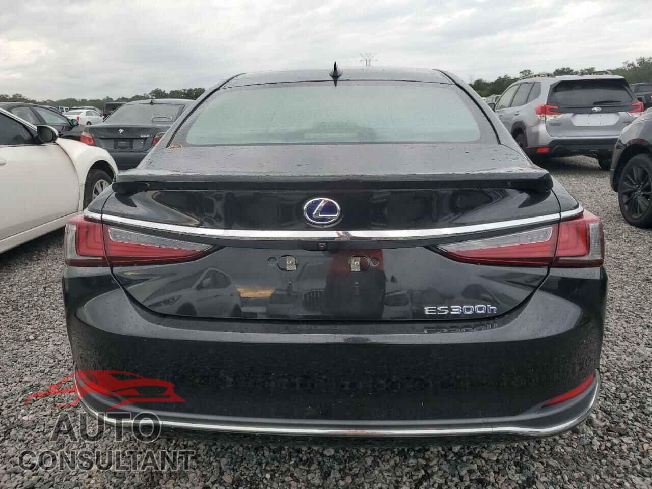LEXUS ES300 2022 - 58AFA1C19NU014159