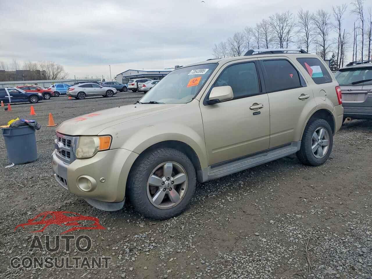 FORD ESCAPE 2010 - 1FMCU0EG2AKB92580