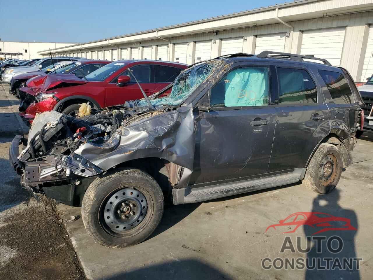 FORD ESCAPE 2011 - 1FMCU0DG7BKC03379