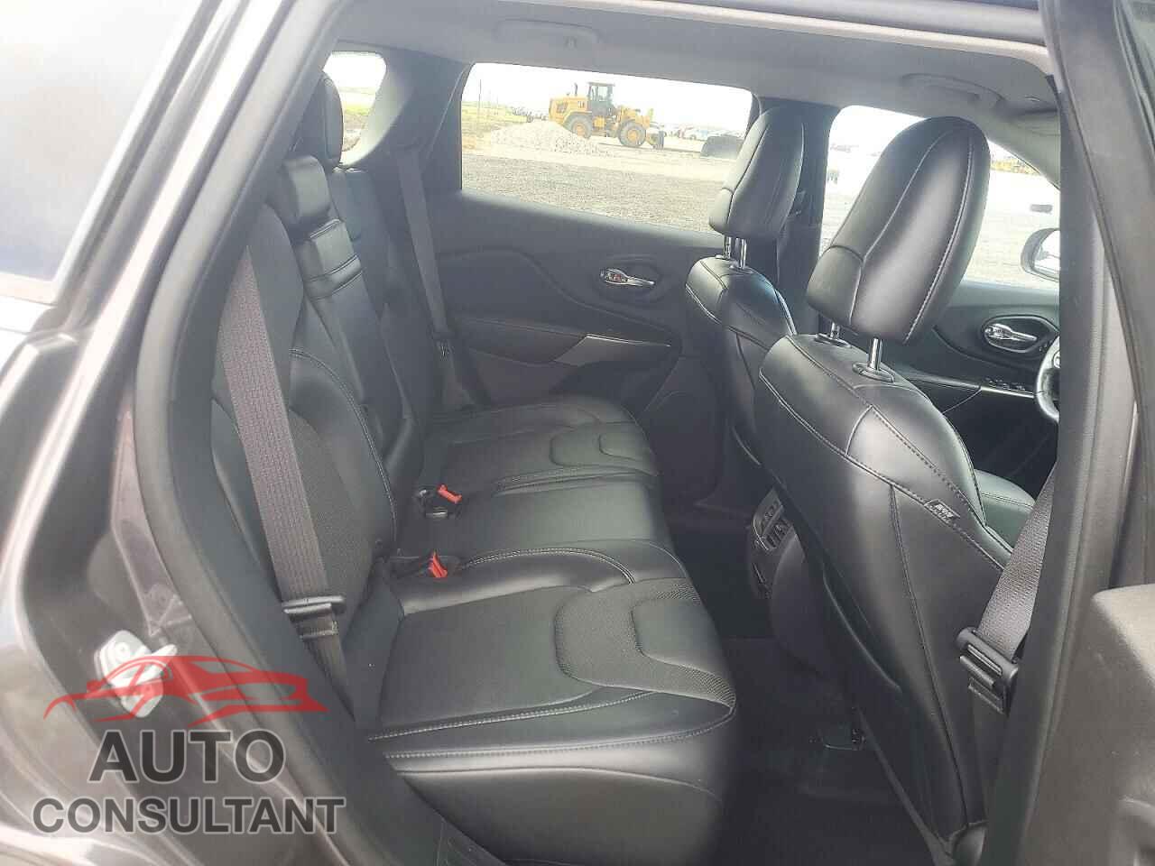JEEP CHEROKEE 2019 - 1C4PJLDB9KD343247