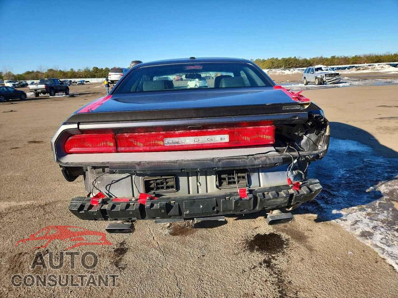 DODGE CHALLENGER 2013 - 2C3CDYAG3DH642147
