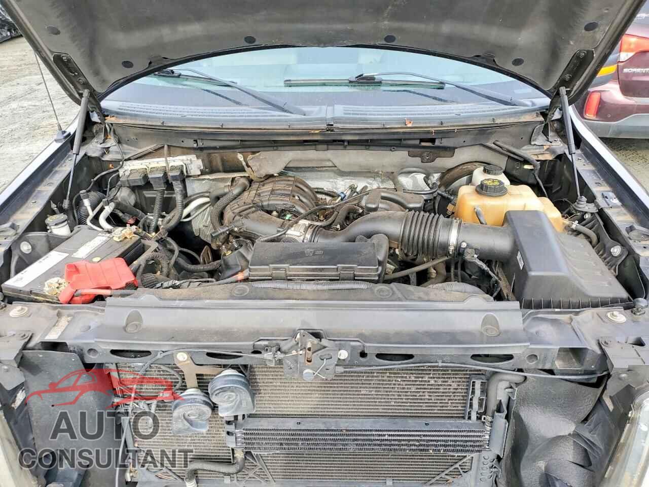 FORD F-150 2013 - 1FTEW1CM4DKD55532