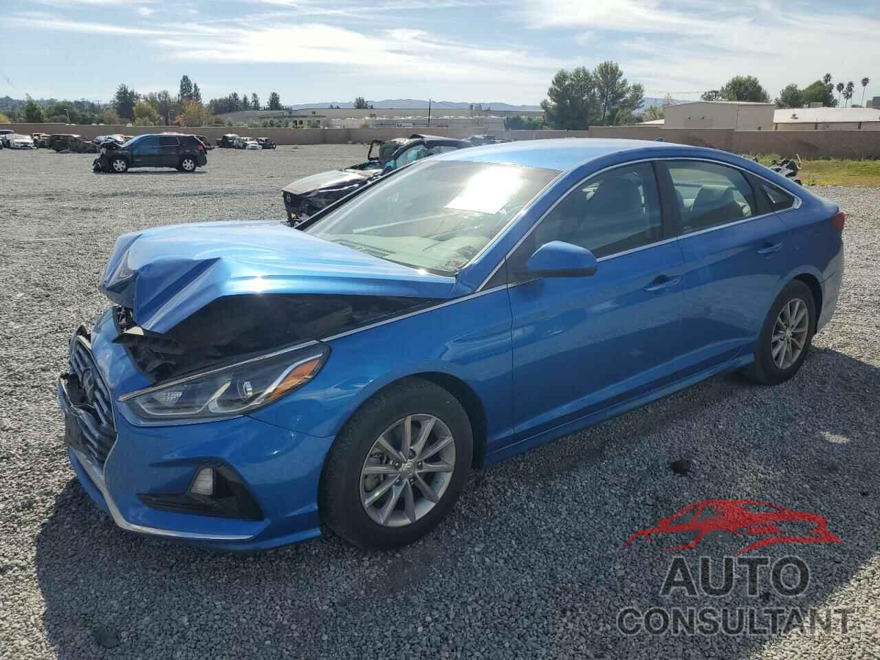 HYUNDAI SONATA 2019 - 5NPE24AF1KH783863