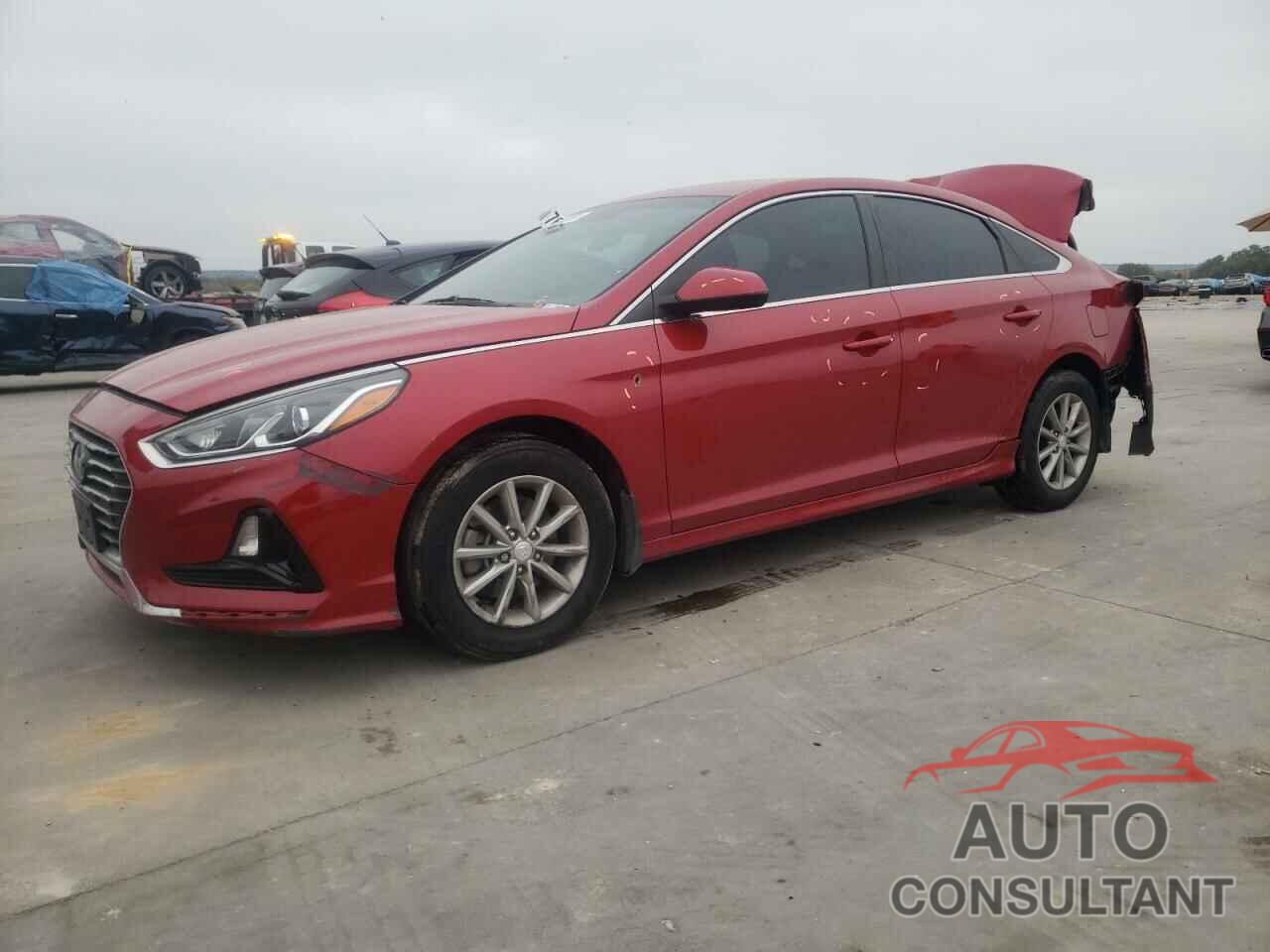 HYUNDAI SONATA 2018 - 5NPE24AF4JH726541