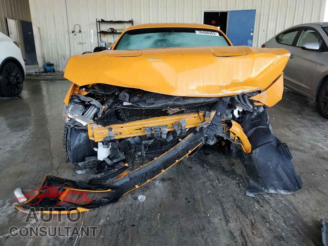 FORD MUSTANG 2019 - 1FA6P8CF3K5167355