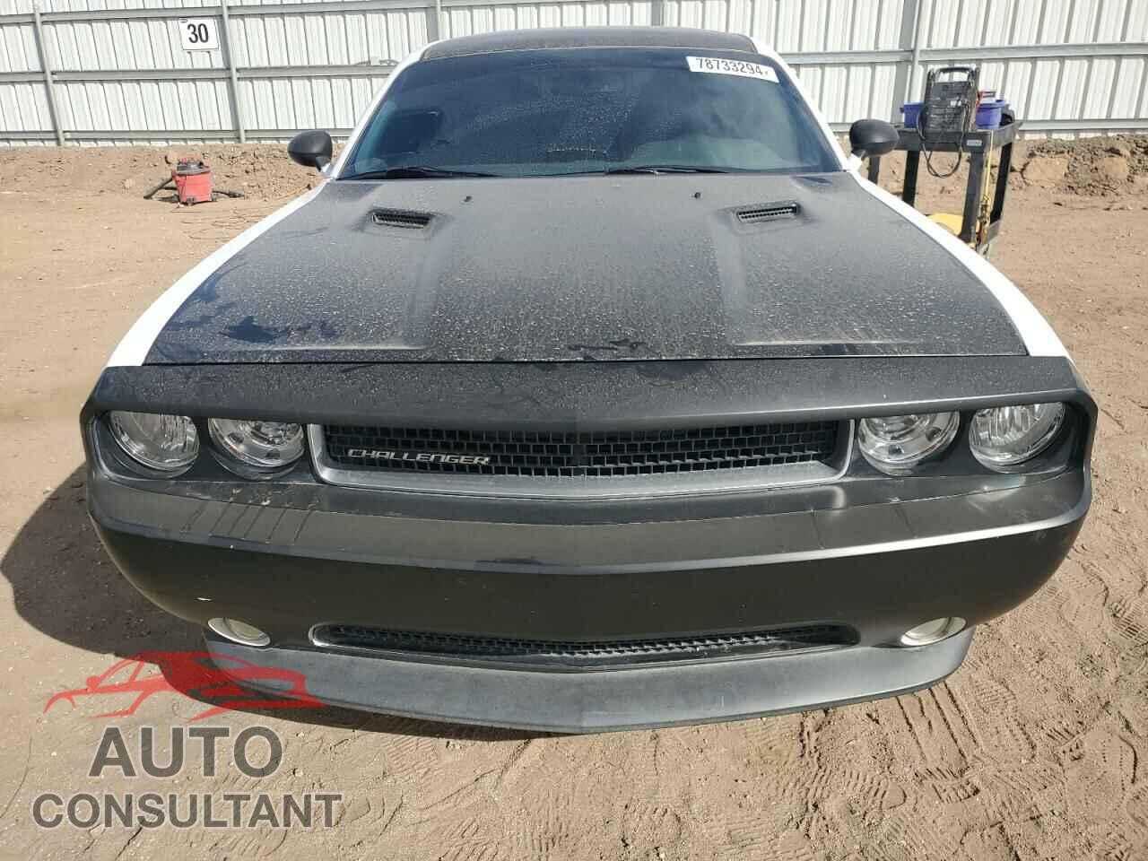 DODGE CHALLENGER 2014 - 2C3CDYAG5EH205431