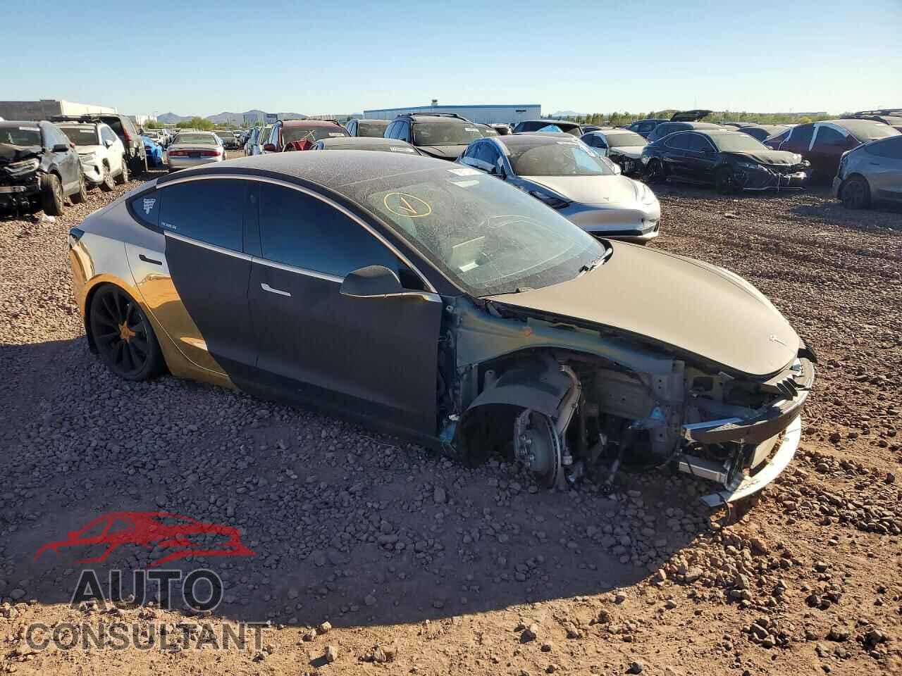TESLA MODEL 3 2019 - 5YJ3E1EA1KF509038