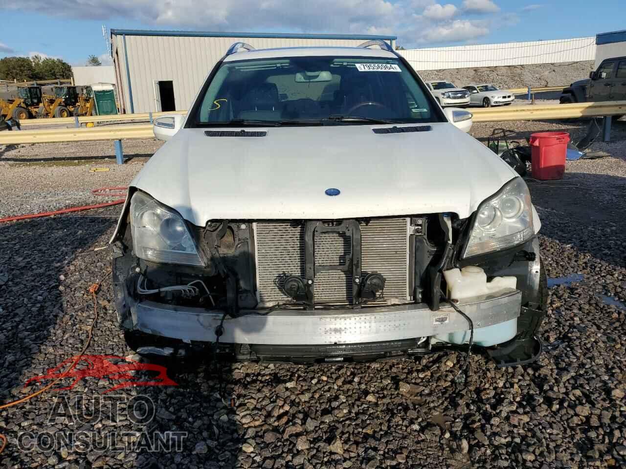 MERCEDES-BENZ GL-CLASS 2010 - 4JGBF7BE0AA585145