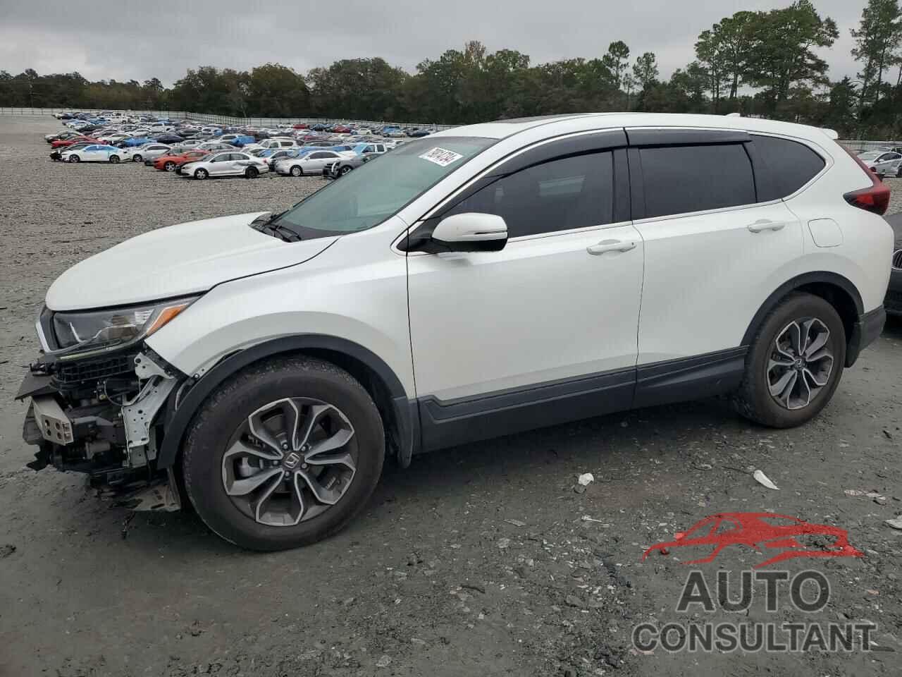 HONDA CRV 2020 - 7FARW1H84LE022244