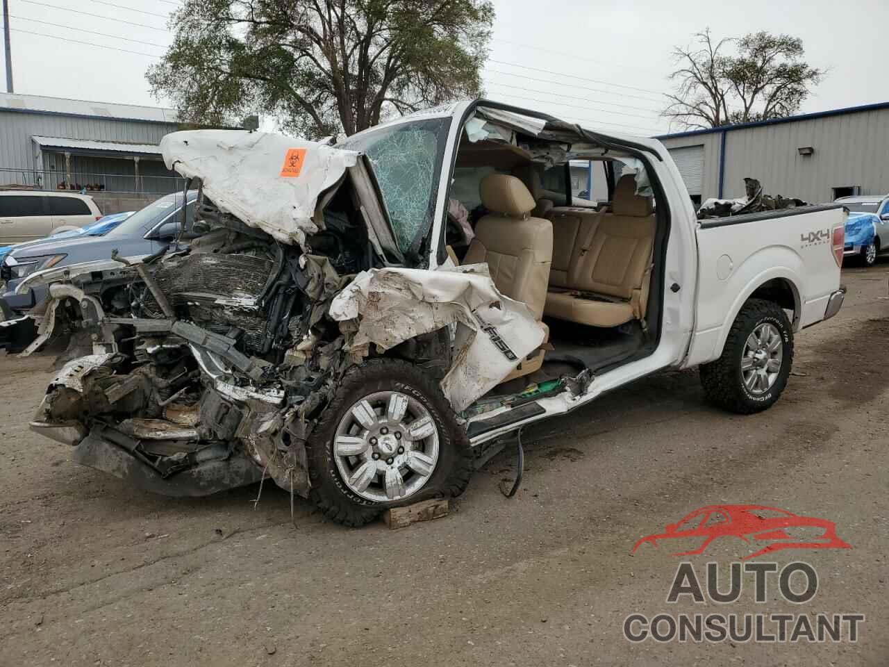 FORD F-150 2011 - 1FTFW1ET4BFC05547