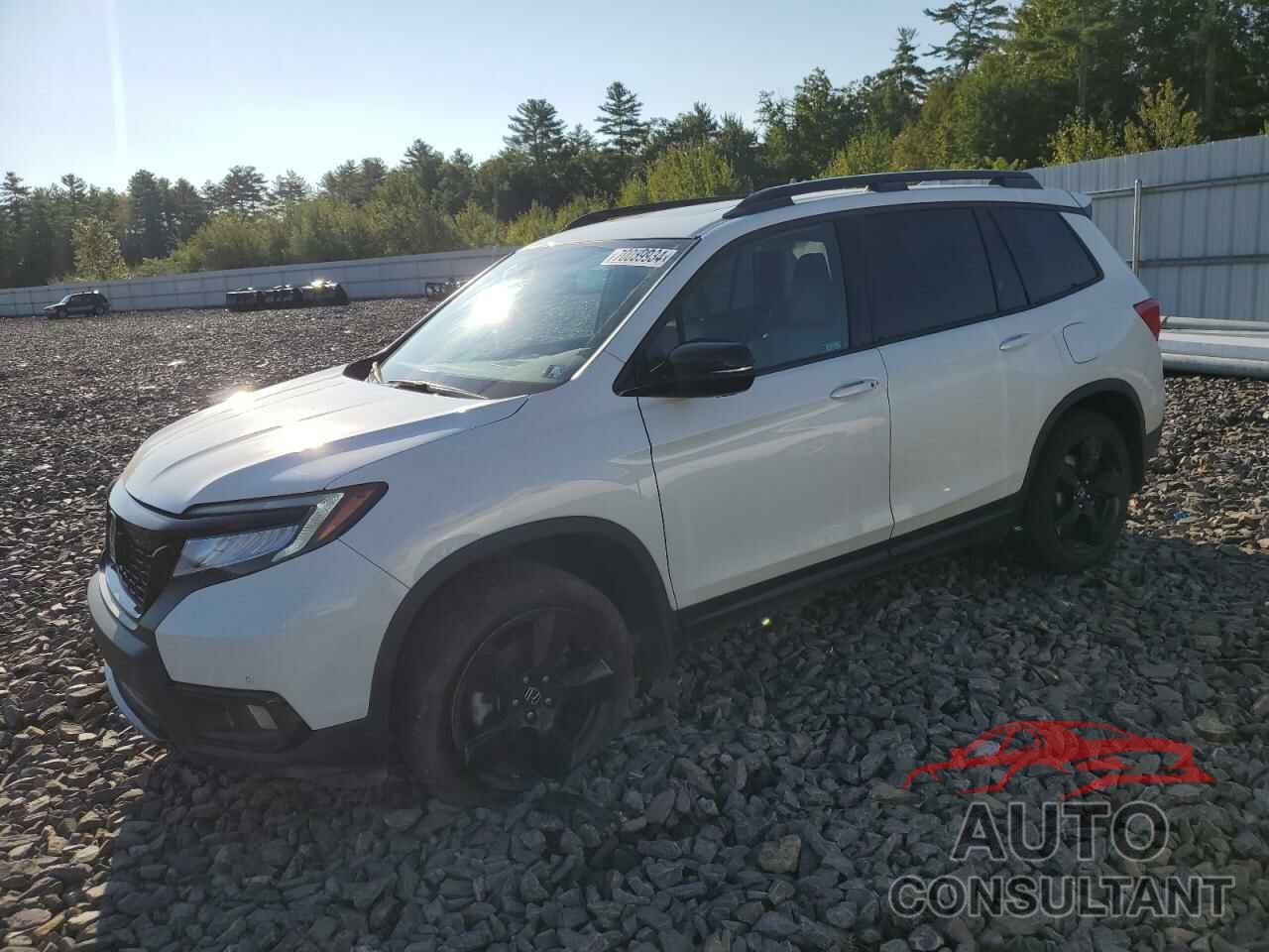 HONDA PASSPORT 2019 - 5FNYF8H07KB001168