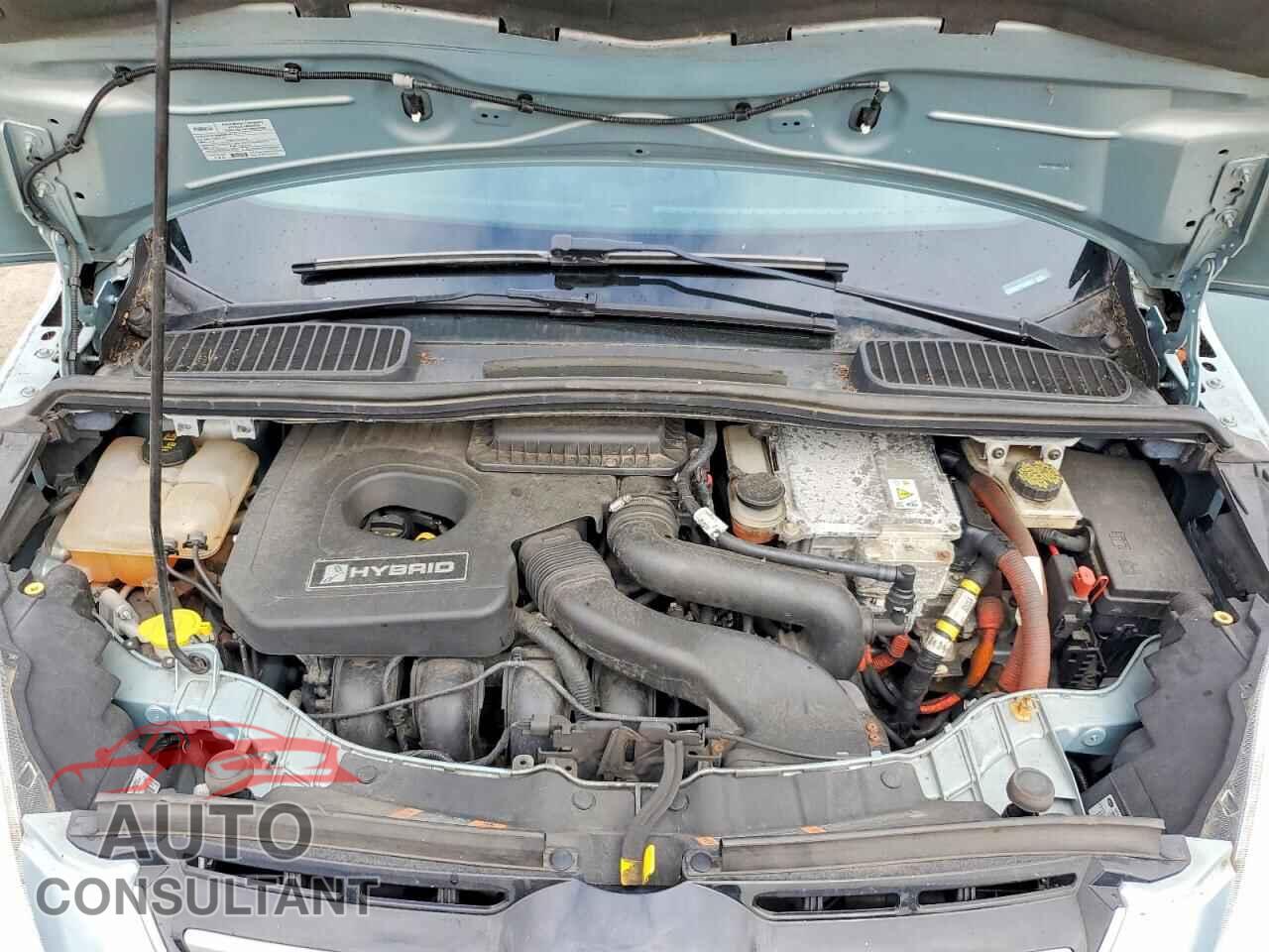 FORD CMAX 2014 - 1FADP5BU7EL514613