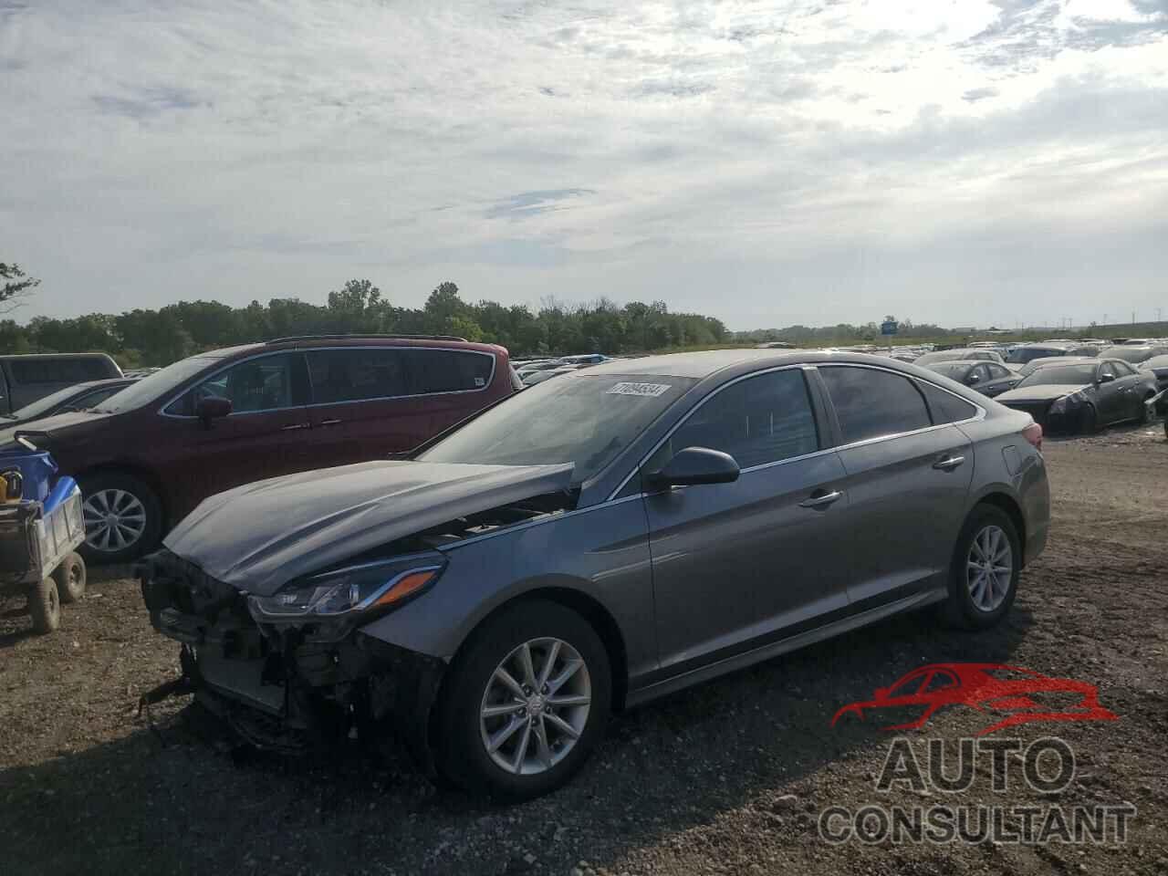 HYUNDAI SONATA 2019 - 5NPE24AF2KH783564