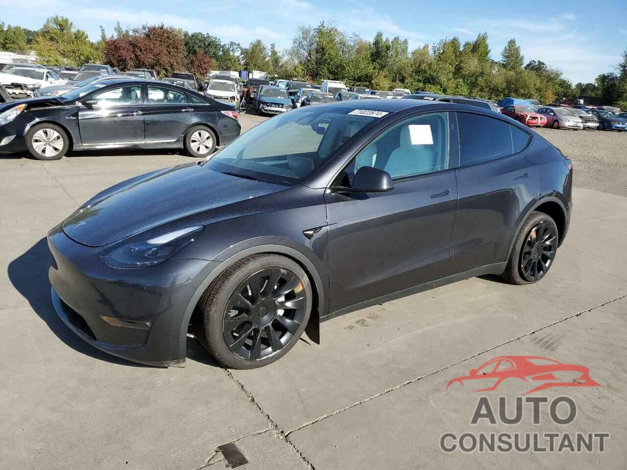 TESLA MODEL Y 2024 - 7SAYGAEE2RF080993