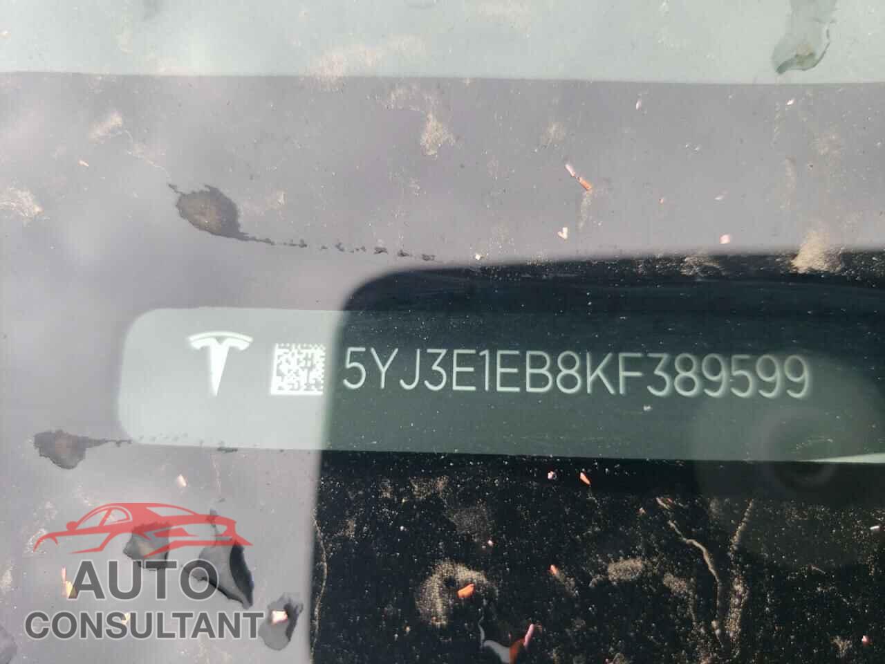 TESLA MODEL 3 2019 - 5YJ3E1EB8KF389599