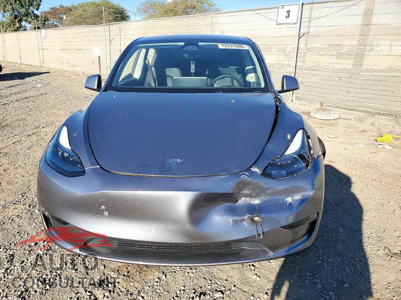 TESLA MODEL Y 2024 - 7SAYGAEE3RF209680