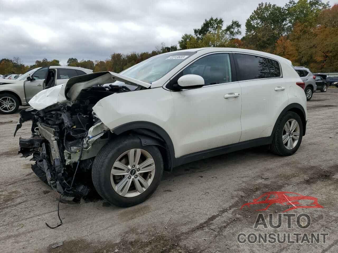 KIA SPORTAGE 2019 - KNDPM3AC2K7601983