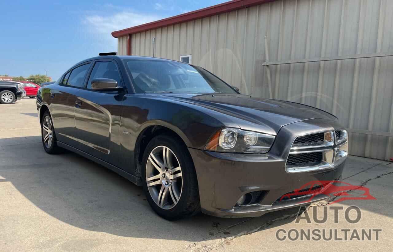 DODGE CHARGER 2014 - 2C3CDXCT5EH275323