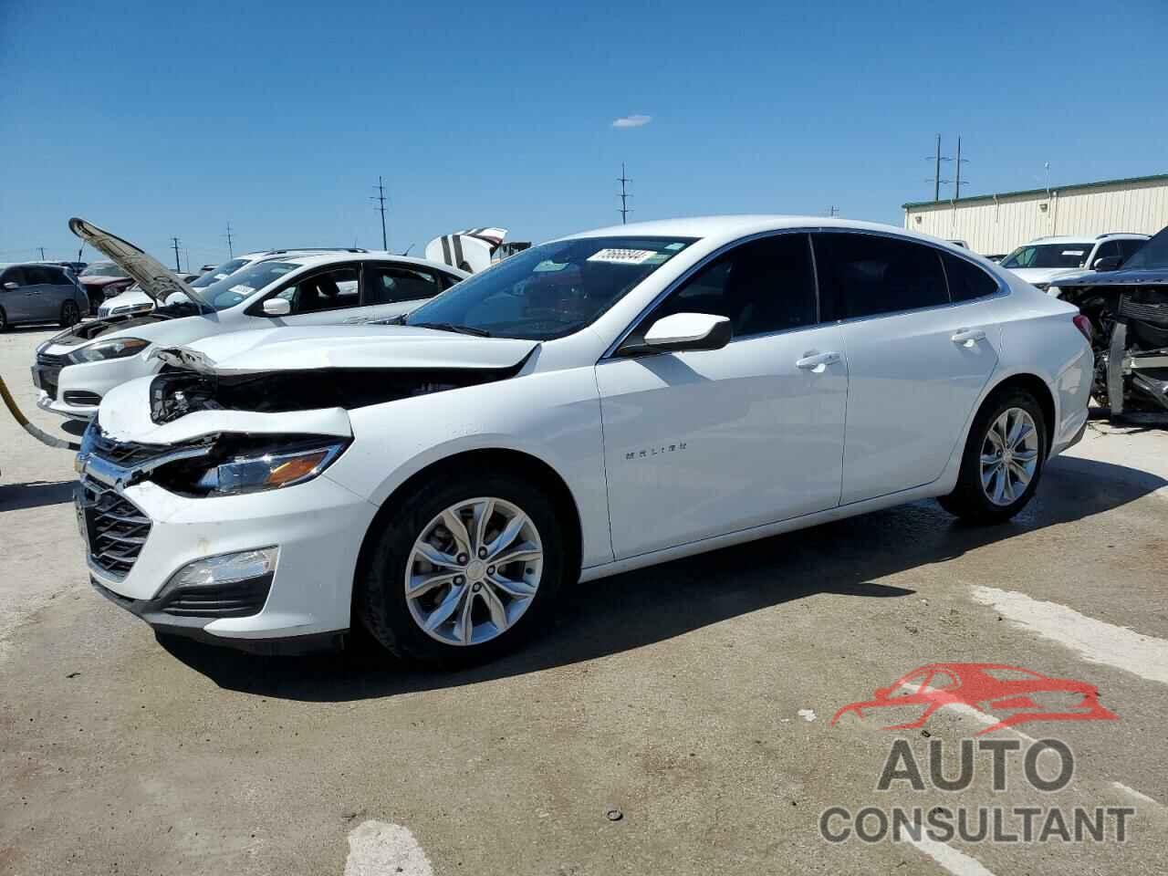 CHEVROLET MALIBU 2019 - 1G1ZD5ST7KF117163