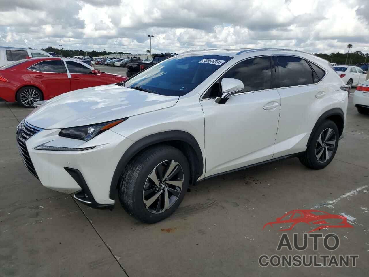 LEXUS NX 2019 - JTJYARBZ0K2151019