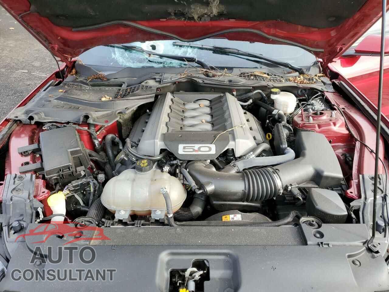 FORD MUSTANG 2017 - 1FA6P8CF1H5281685