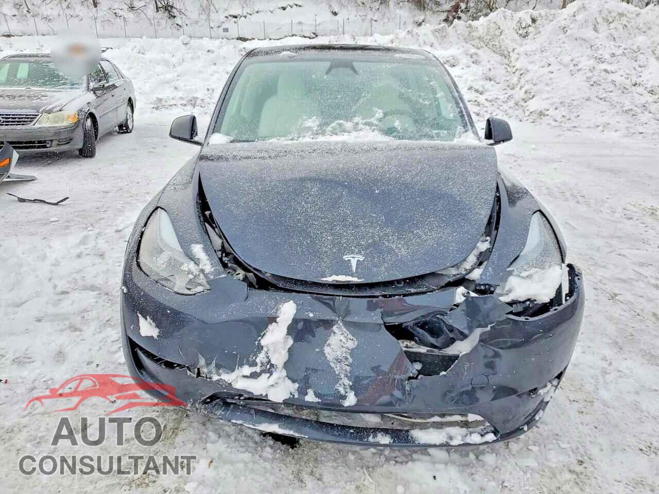 TESLA MODEL Y 2024 - 7SAYGDEEXRA279675