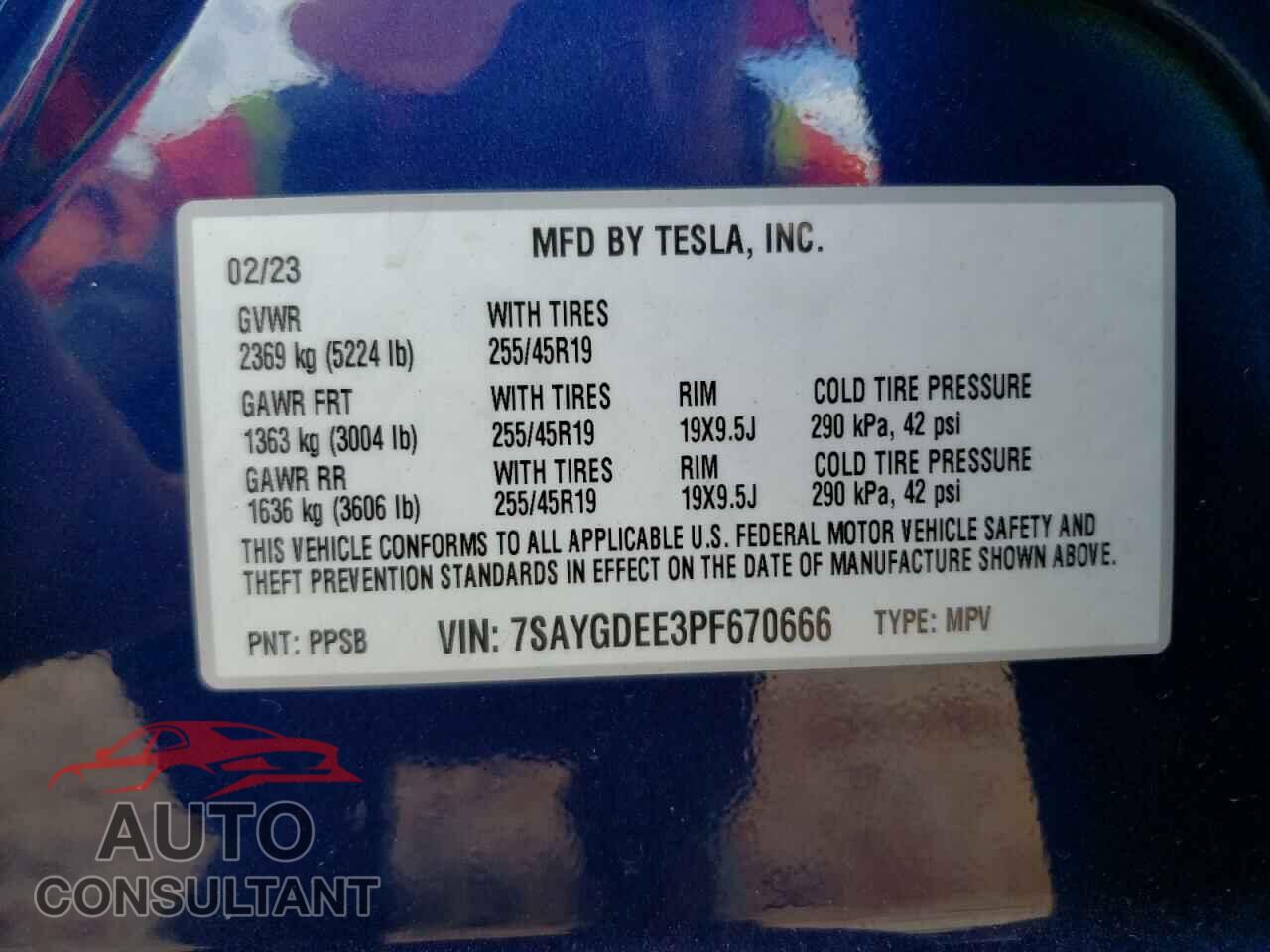 TESLA MODEL Y 2023 - 7SAYGDEE3PF670666
