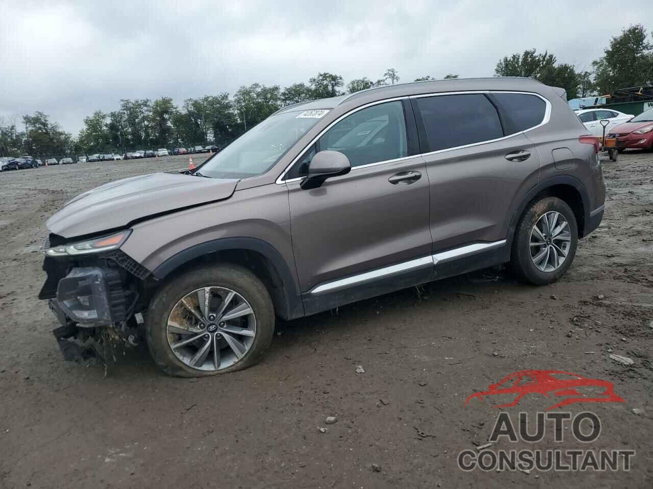 HYUNDAI SANTA FE 2019 - 5NMS3CAD0KH057627