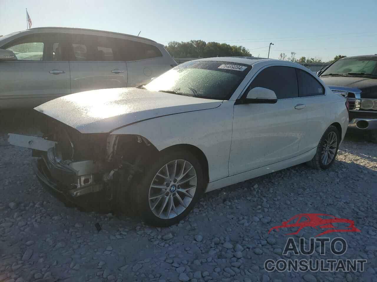 BMW 2 SERIES 2016 - WBA1F9C53GV545392