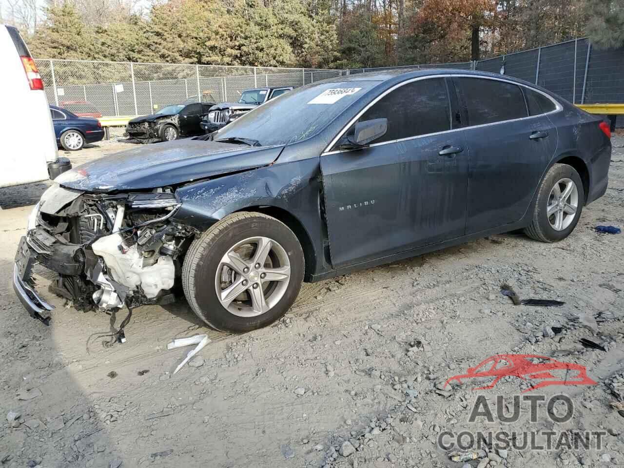 CHEVROLET MALIBU 2019 - 1G1ZB5ST8KF146340