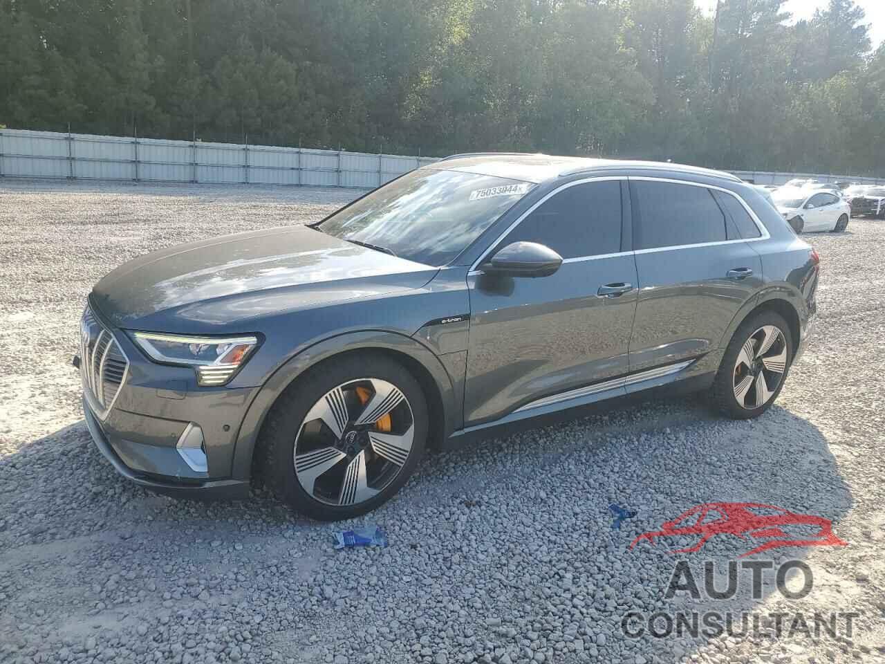 AUDI E-TRON CHR 2019 - WA1VAAGE1KB006711