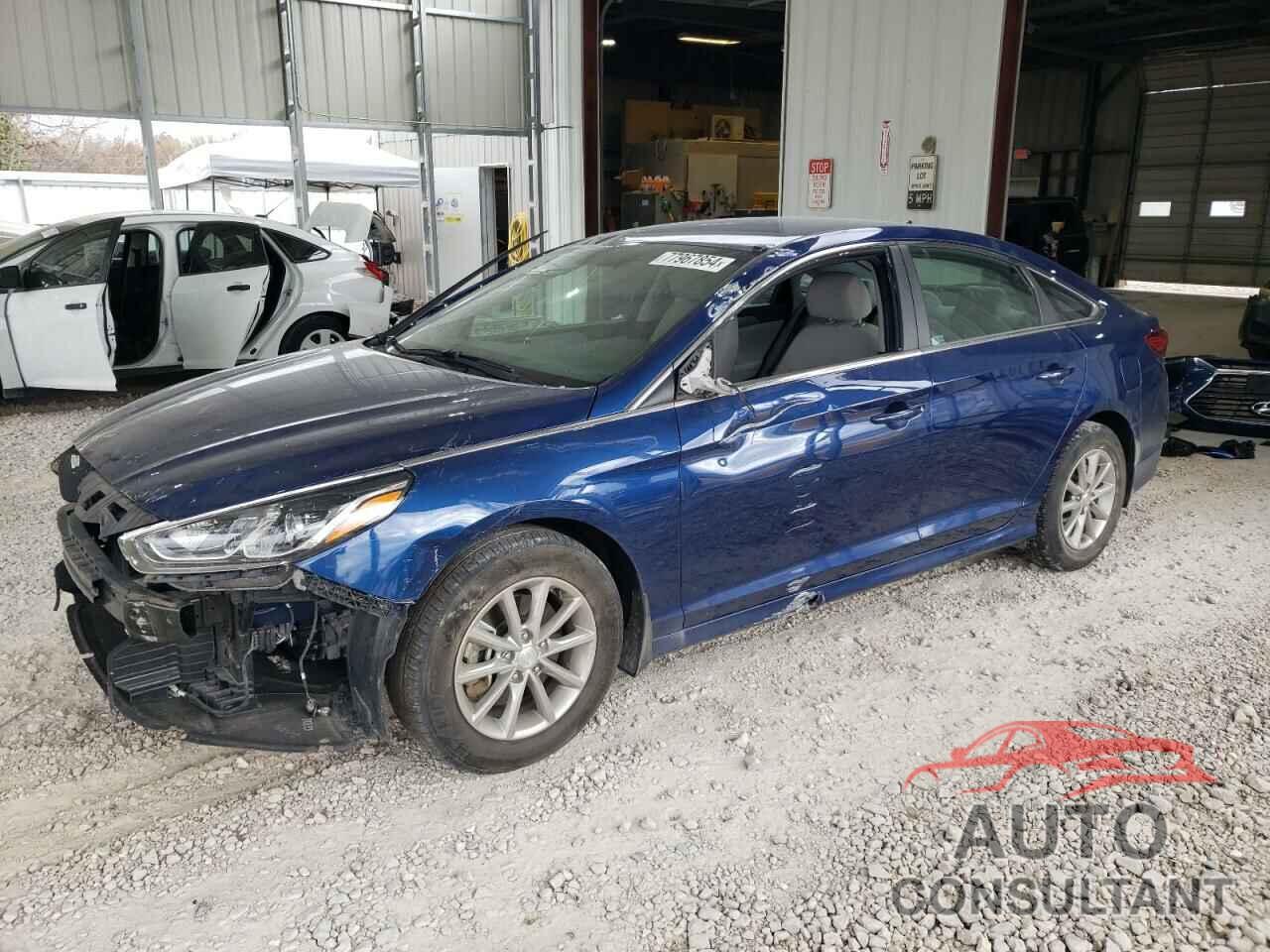 HYUNDAI SONATA 2019 - 5NPE24AF2KH807359