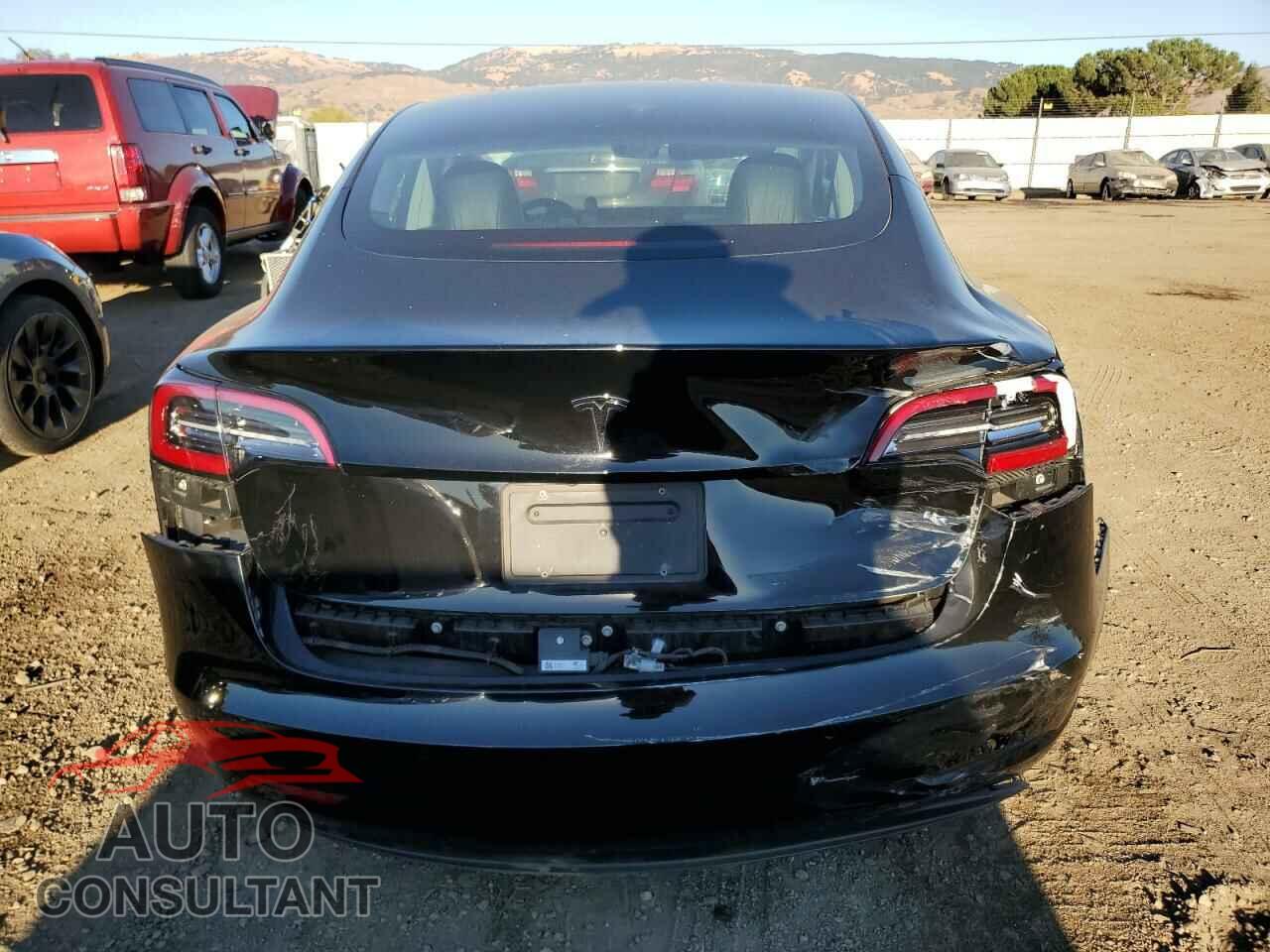 TESLA MODEL 3 2019 - 5YJ3E1EA9KF305555